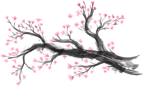 Sakura tree
